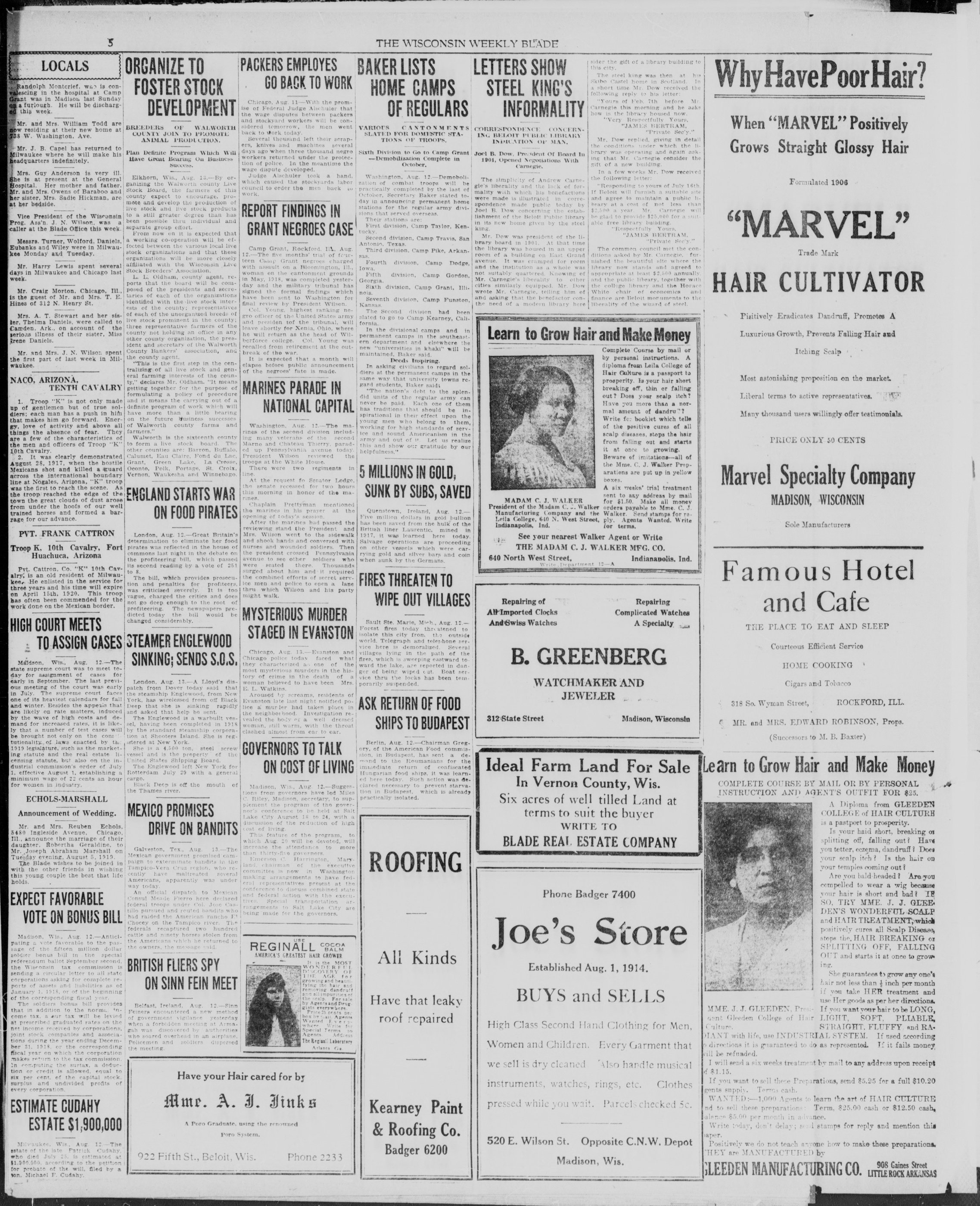 Page 5